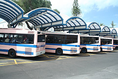 "Get on the bus that takes me to you"